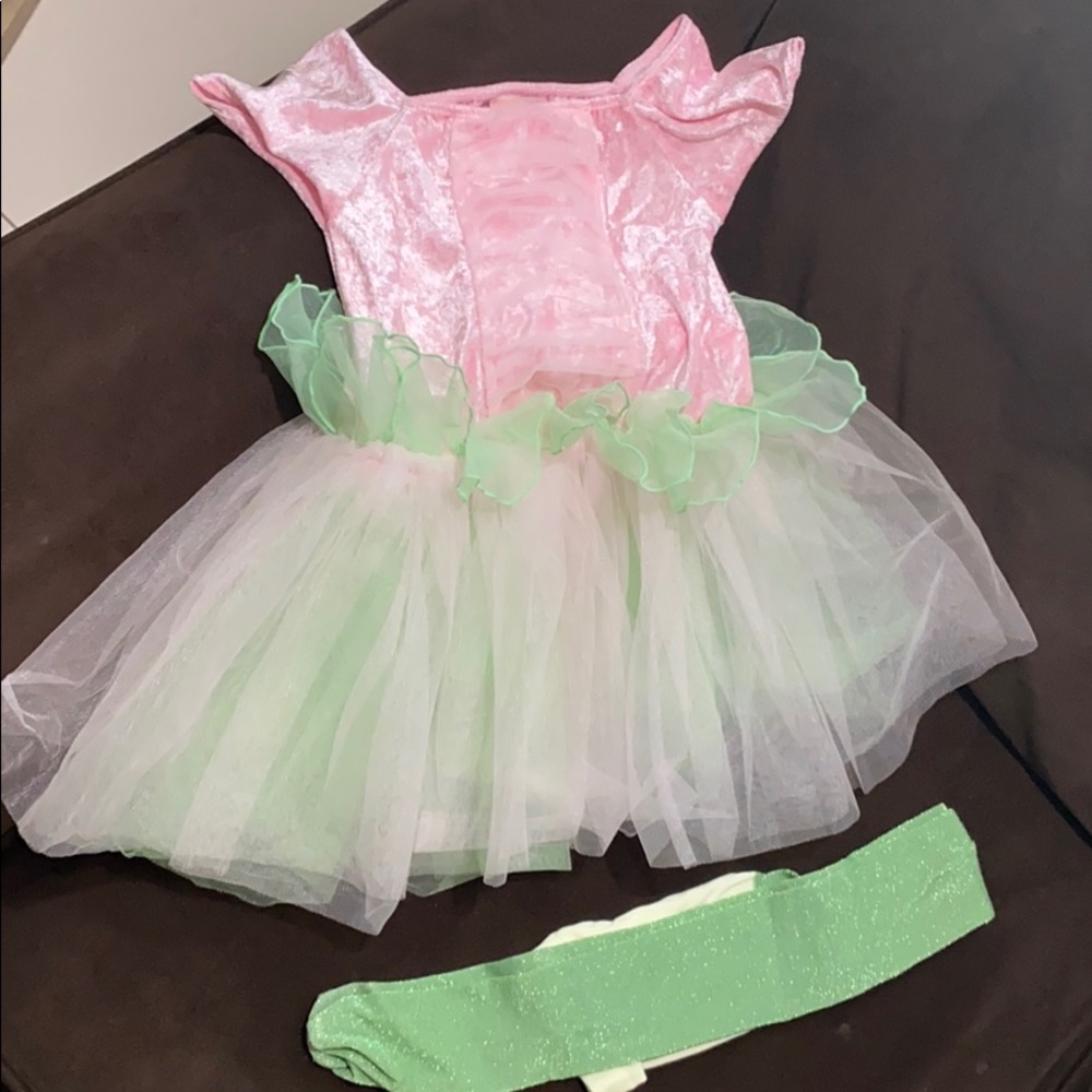 Gymboree Woodland Fairy Costume w/ wings & tights